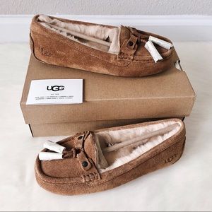 ugg litney
